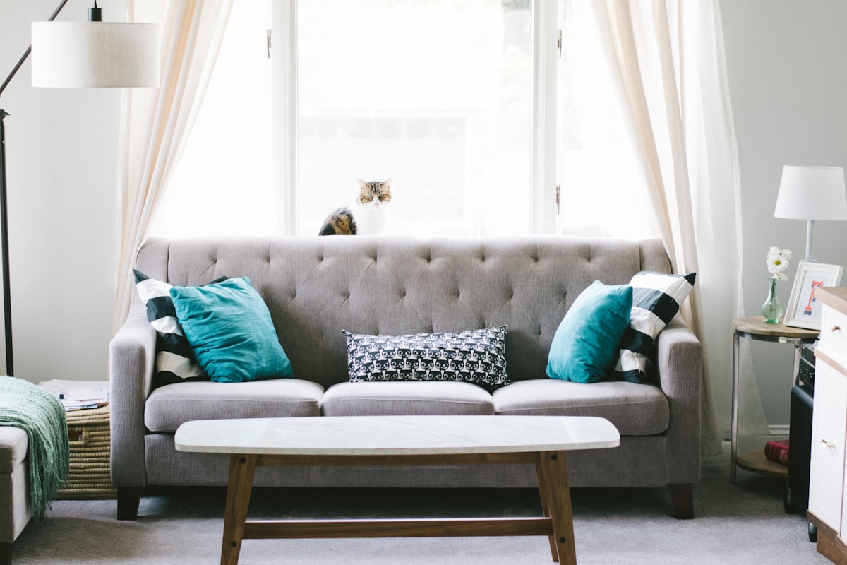 Annibale Colombo Sofa — angle 2