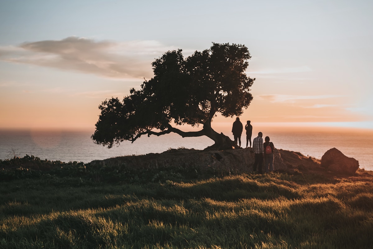 Family Tree Photo Frame — angle 2